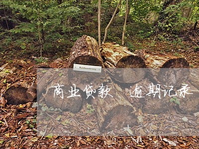 商业贷款 逾期记录 商业贷款 逾期记录